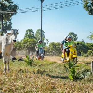 Countryside Sunset Vespa Tour