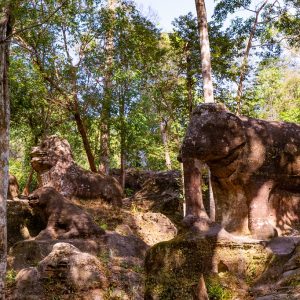 Kulen Mountain Nature Trail with Motor-taxi