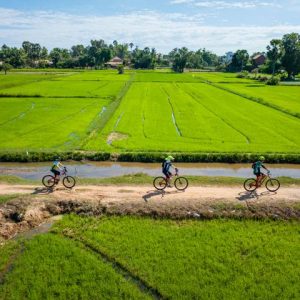 Cycle the Mekong Island