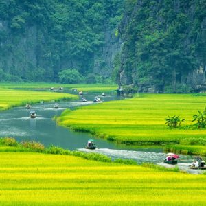 (Private) Full Day Excursion to Dry Halong Bay (Without Lunch)