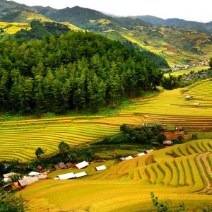 (Private) Full Day Excursion to Hoa Binh & Mai Chau (With Lunch)