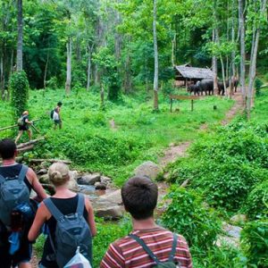 (Private) Full Day Excursion to Cuc Phuong National Park (With Lunch)