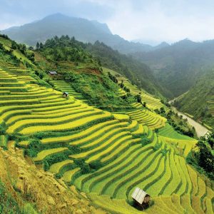 Discover Northern Laos