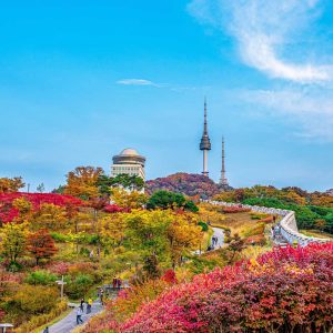 TEST Full Day Busan