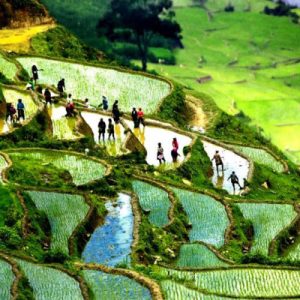 Hmong Village to Taphin